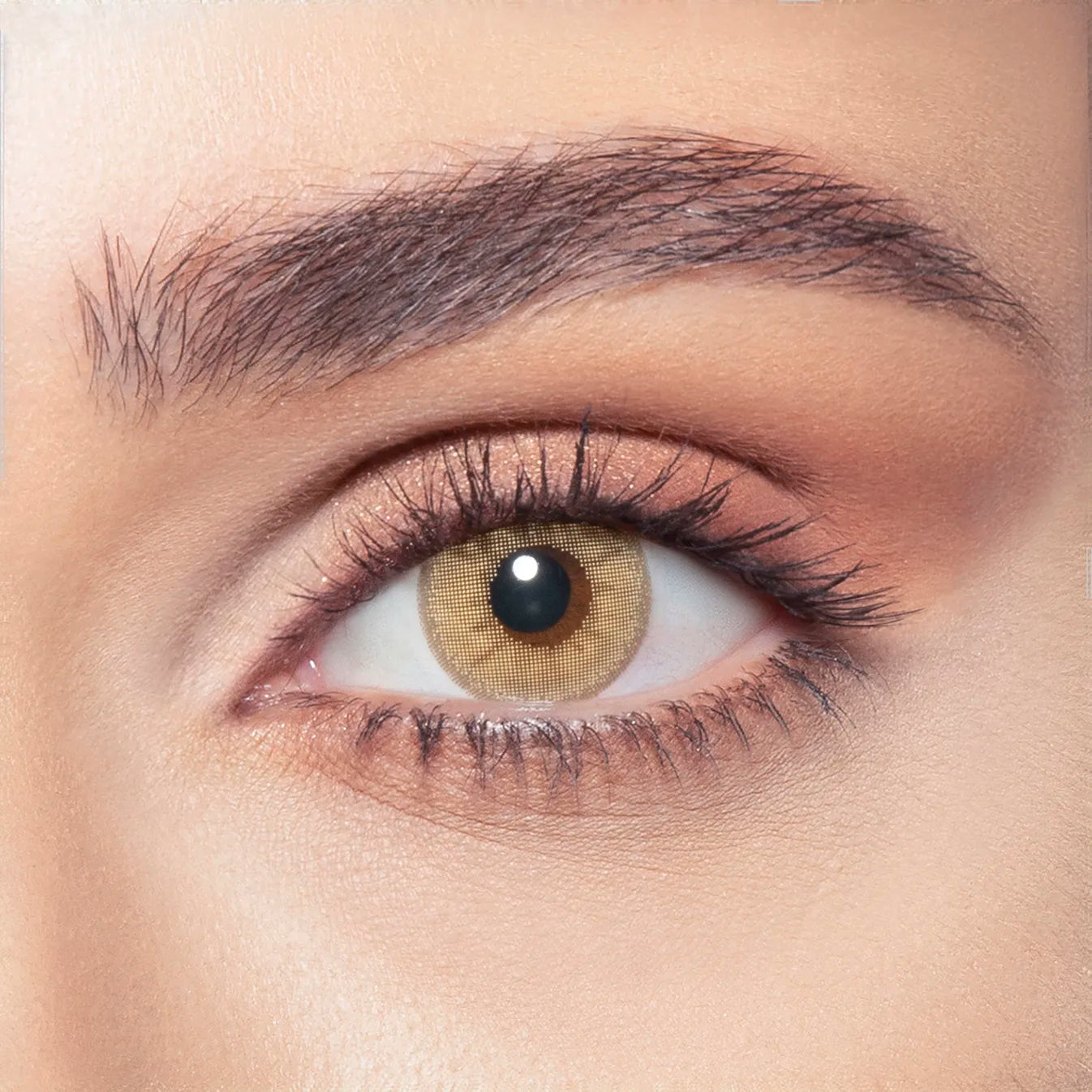 Hazel Beige - Bella One Day Collection