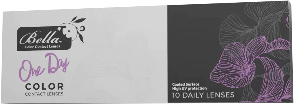 Bluish Gray - Bella One Day Collection